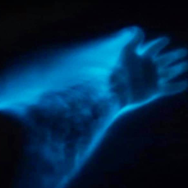 hand in bioluminescence