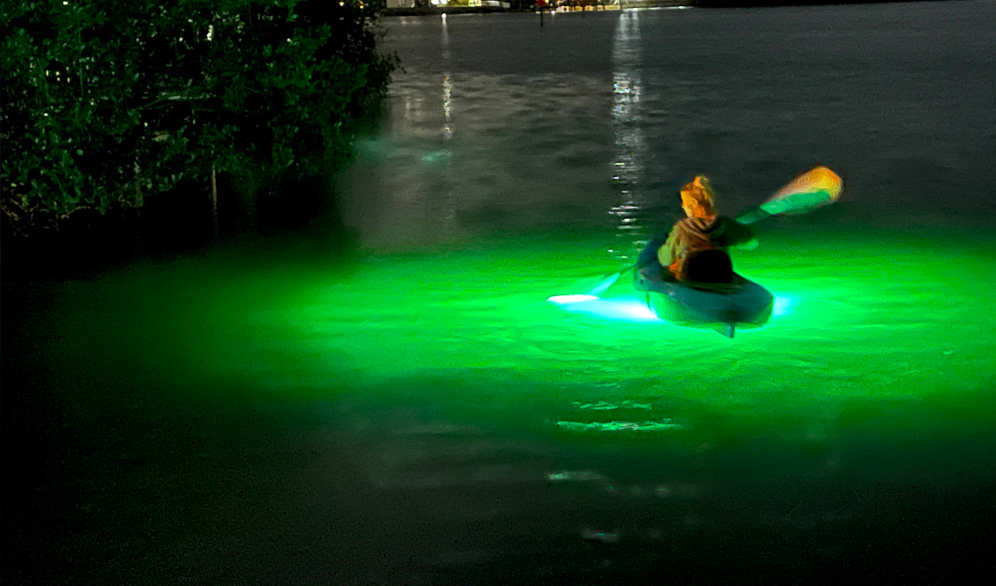 lighted kayak through mangroves