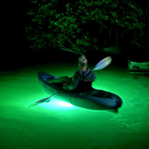 Lighted kayak under mangroves
